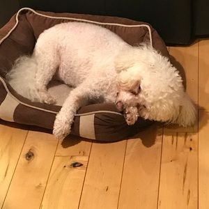 Meet your Posher, Larhonda